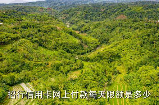 招行行用卡交易額度是多少天，招行信用卡網(wǎng)上付款每天限額是多少