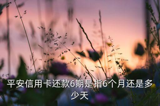 還款6期是什么意思，手機分期付款中的3期6期12期是什么意思