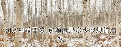 初次申請平安i貸額度是多少我想借點(diǎn)錢