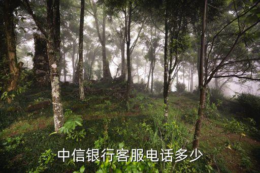 中信銀行客服電話多少
