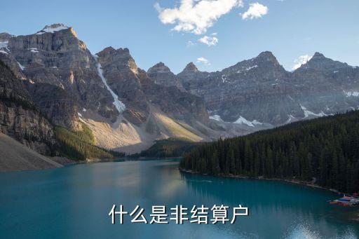 非個(gè)人結(jié)算戶是什么，非結(jié)算戶是什么意思