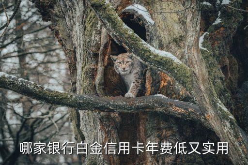 什么白金卡好用嗎，白金信用卡 中農(nóng)工建招商廣發(fā)平安的白金信用卡選哪個比較好