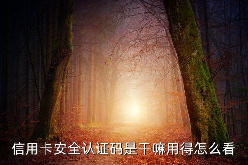 信用卡安全認(rèn)證碼是干嘛用得怎么看