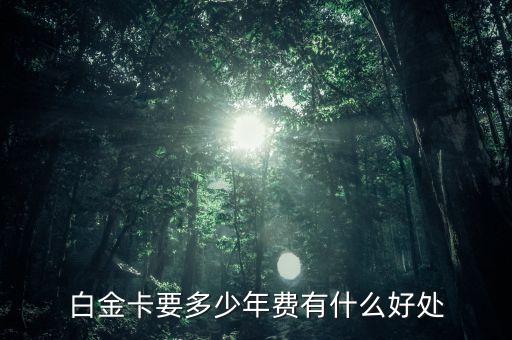 白金卡要多少年費(fèi)有什么好處
