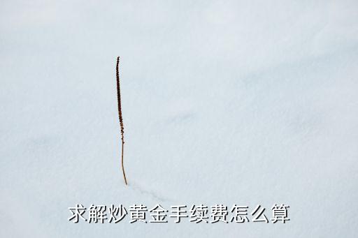 求解炒黃金手續(xù)費怎么算