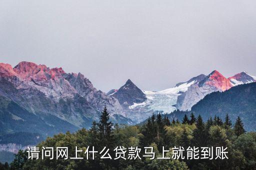 有什么網貸馬上到帳，什么網貸款最快