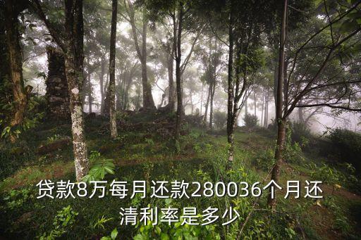 貸款8萬(wàn)每月還款280036個(gè)月還清利率是多少