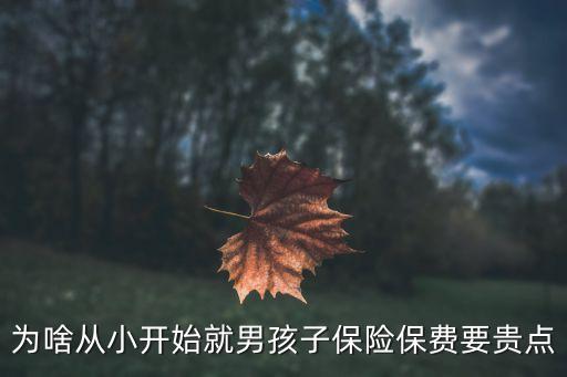 為啥從小開始就男孩子保險保費要貴點