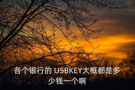 各個(gè)銀行的 USBKEY大概都是多少錢(qián)一個(gè)啊