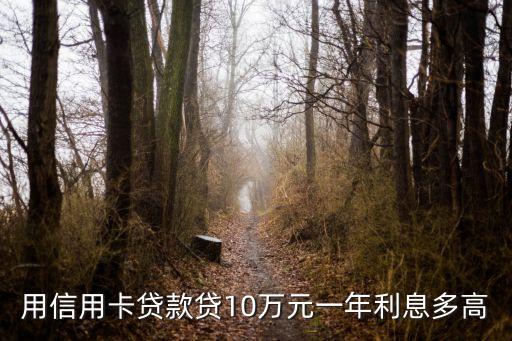 信用卡10一年利息多少，用信用卡貸款貸10萬元一年利息多高