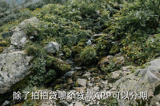 除了拍拍貸哪個(gè)貸款A(yù)PP可以分期