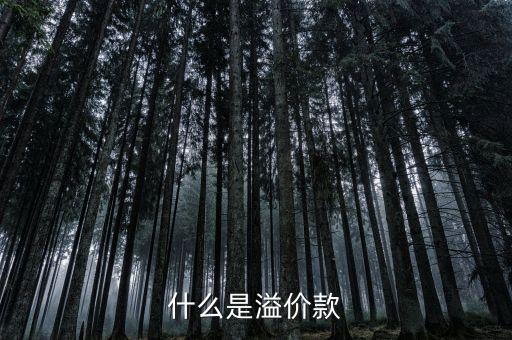 什么是溢價款，房屋代售中的溢價款是什么意思急需知道 麻煩有明白人給解釋一