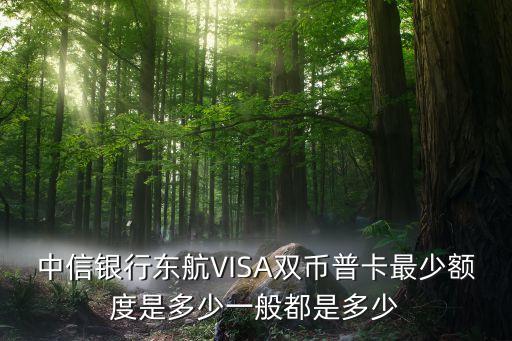 中信visa額度是多少，中信銀行東航VISA雙幣普卡最少額度是多少