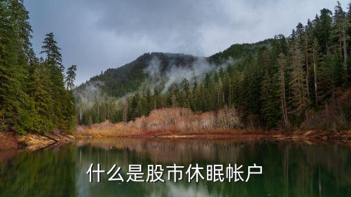 什么賬戶是休眠賬戶，什么是休眠賬戶大神們幫幫忙