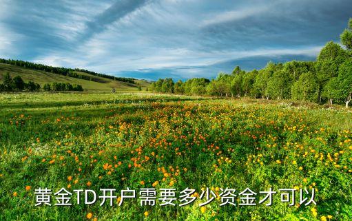 黃金TD開(kāi)戶需要多少資金才可以