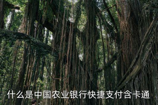什么是中國農(nóng)業(yè)銀行快捷支付含卡通