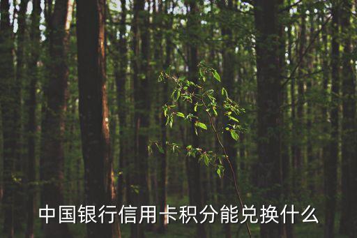 中信積分能兌換什么用，請大家說說看這個中信銀行信用卡積分都能做什么