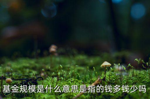 基金規(guī)模是什么意思是指的錢(qián)多錢(qián)少嗎