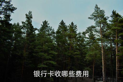 銀行卡都有哪些費用多少錢，銀行卡收哪些費用