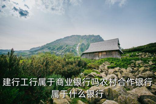 建行工行屬于商業(yè)銀行嗎農(nóng)村合作銀行屬于什么銀行