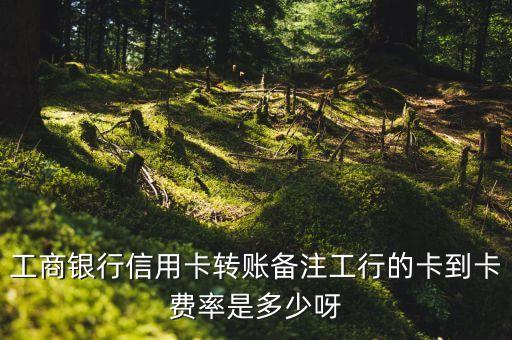 工商銀行信用卡轉(zhuǎn)賬備注工行的卡到卡費(fèi)率是多少呀