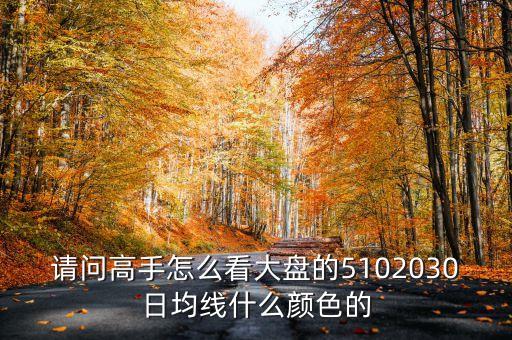 請問高手怎么看大盤的5102030日均線什么顏色的