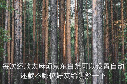 每次還款太麻煩京東白條可以設(shè)置自動(dòng)還款不哪位好友給講解一下