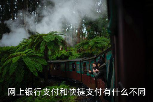 網(wǎng)上銀行支付和快捷支付有什么不同