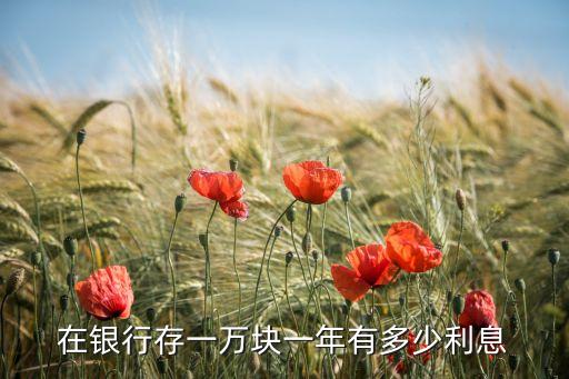 一萬元的年利息多少錢，一萬一年多少利息