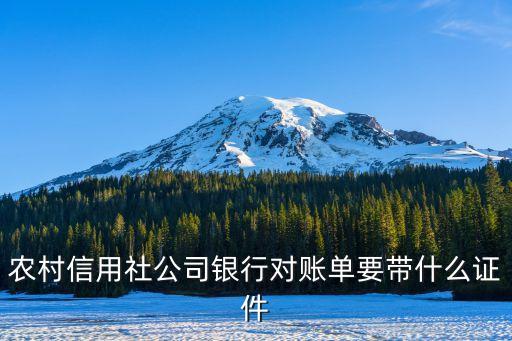 農(nóng)村信用社公司銀行對(duì)賬單要帶什么證件