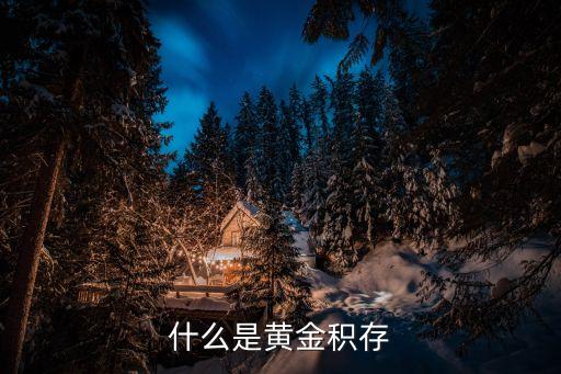 什么是黃金積存