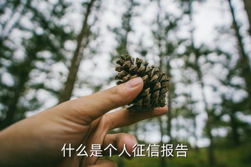 什么是個(gè)人征信報(bào)告