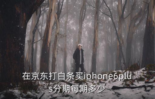 白條分期 多少可以，京東白條閃付398到時候分期六期每期還多少錢合適