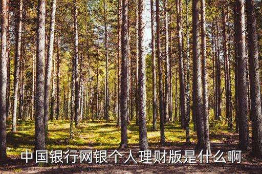 中國(guó)銀行網(wǎng)銀個(gè)人理財(cái)版是什么啊