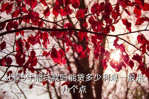 社保5年能貸款嗎能貸多少利息一般是幾個點