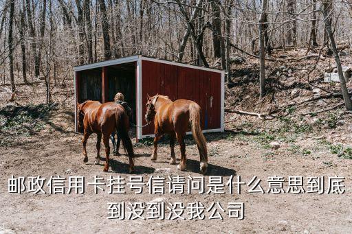 信用卡掛號是什么意思，農(nóng)行卡約投掛號啥意思