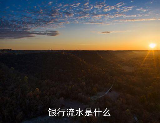 銀行流水是什么