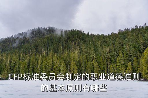 CFP標(biāo)準(zhǔn)委員會制定的職業(yè)道德準(zhǔn)則的基本原則有哪些