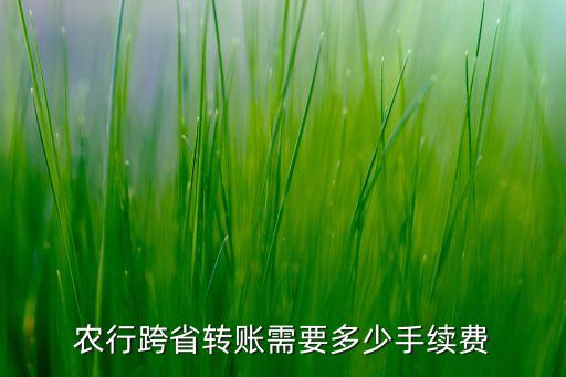 農(nóng)行跨省轉(zhuǎn)賬需要多少手續(xù)費(fèi)