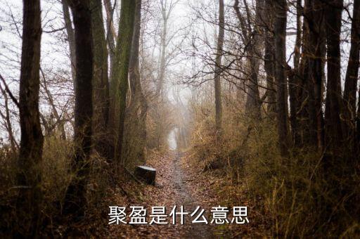 聚盈是什么意思