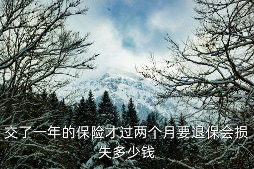 交了一年的保險才過兩個月要退保會損失多少錢