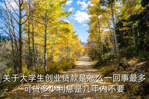 關(guān)于大學(xué)生創(chuàng)業(yè)貸款是怎么一回事最多可貸多少利息是幾年內(nèi)不要