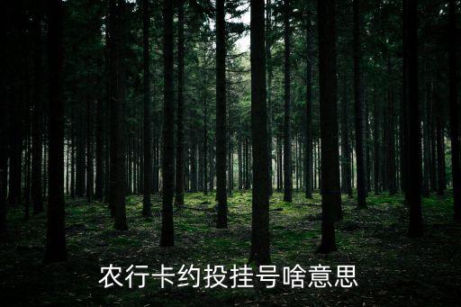 農(nóng)行卡約投掛號(hào)啥意思