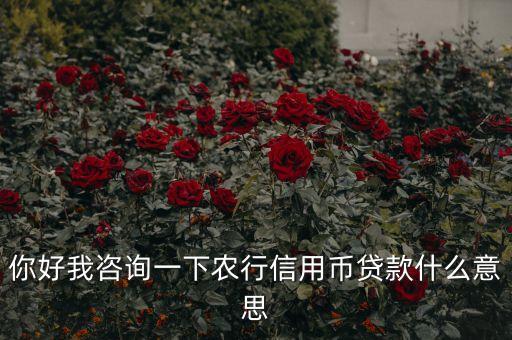 你好我咨詢一下農行信用幣貸款什么意思