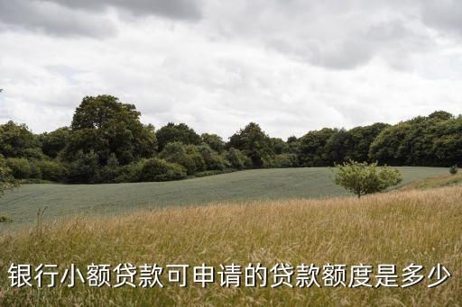 柳州銀行有什么貸款額度，銀行小額貸款可申請(qǐng)的貸款額度是多少