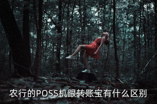 什么是銀行轉(zhuǎn)帳寶，銀行辦理轉(zhuǎn)帳寶要什么手續(xù)
