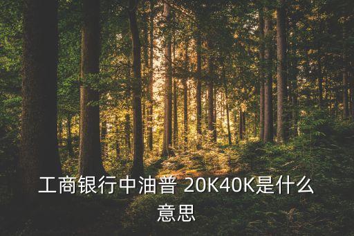 工商銀行中油普 20K40K是什么意思