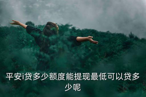 你們i貸額度是多少錢，平安i貸一般會(huì)給多少借款額度啊好不好下款啊