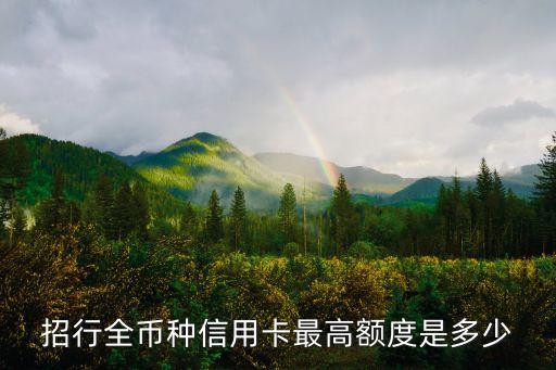 招行全幣種信用卡最高額度是多少