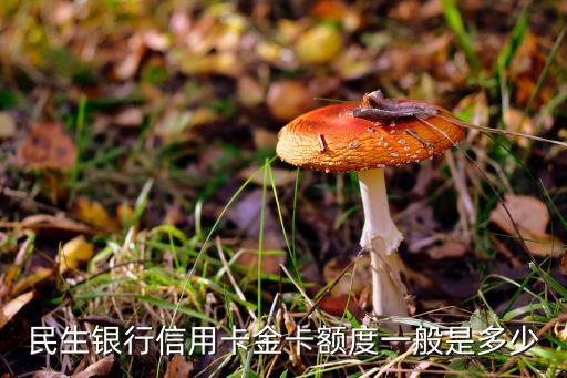 民生京東金卡額度多少錢，民生金卡額度多少